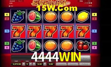 Sistemas de Segurança 4444WIN